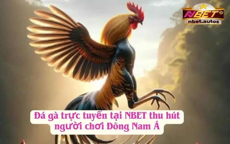 Đá gà trực tuyến tại NBET thu hút người chơi Đông Nam Á