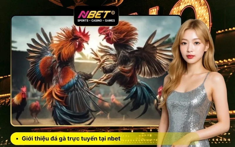 Giới thiệu đá gà trực tuyến tại nbet