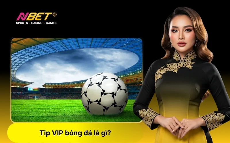 Tip VIP bóng đá là gì